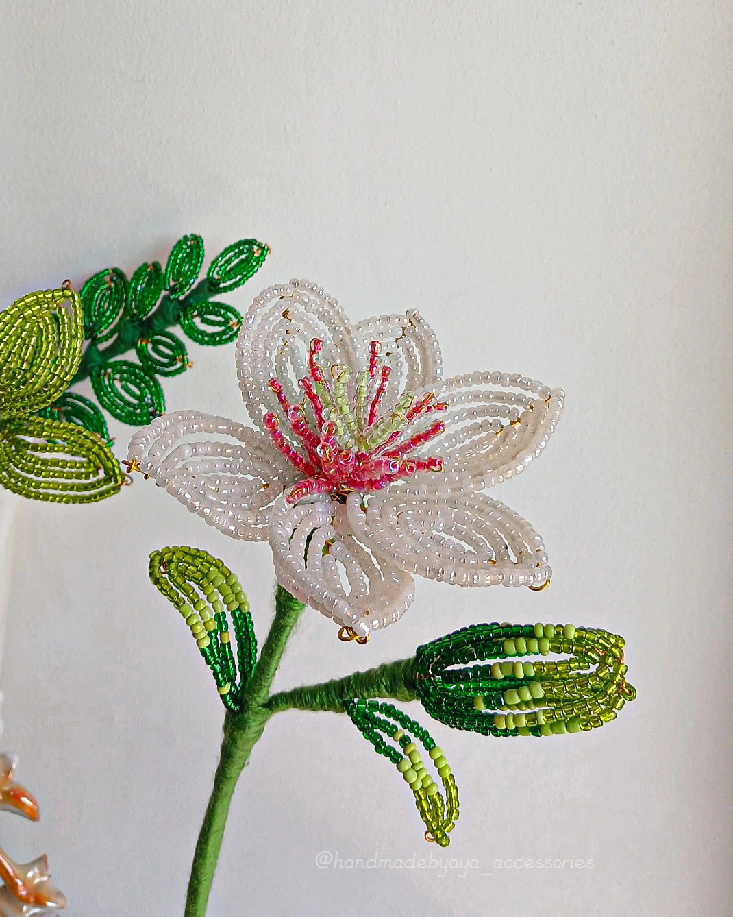 Clematis Beaded flowers